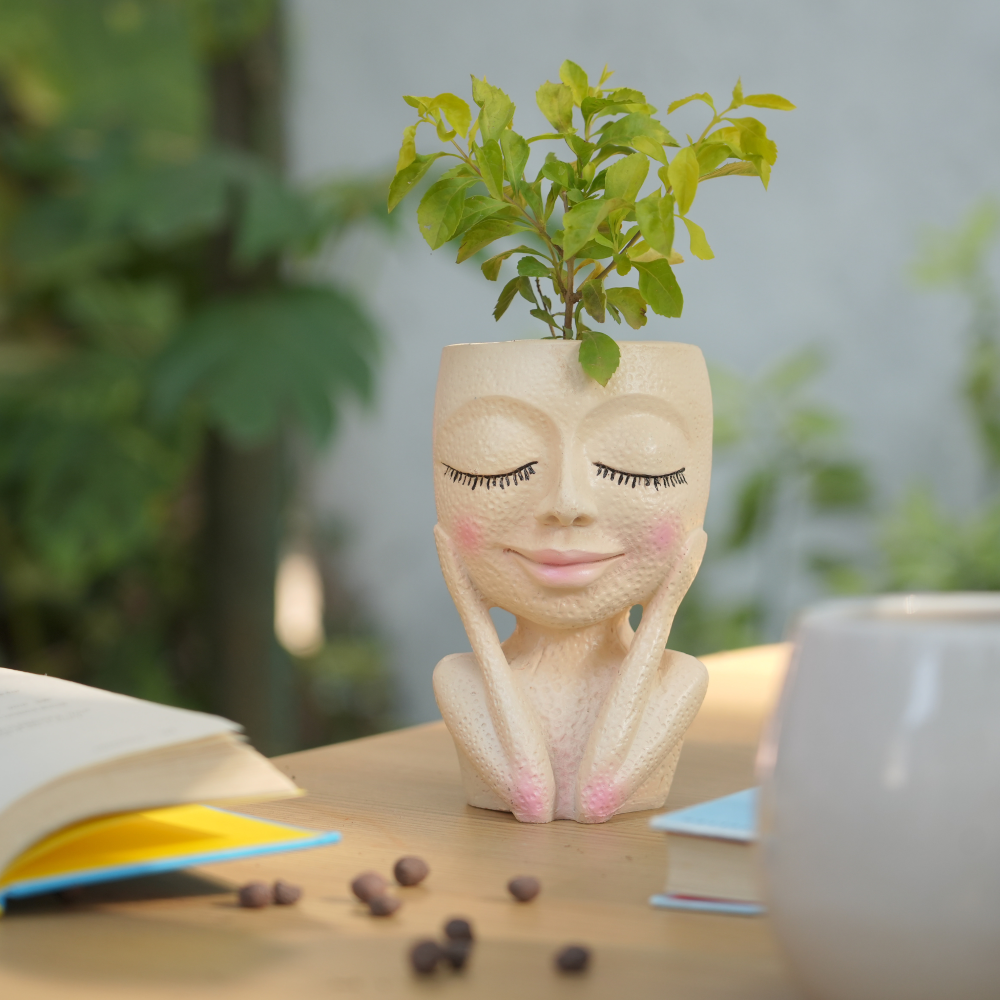 cute face plant pots Poly-resin Cute Face Planter | Cute Face