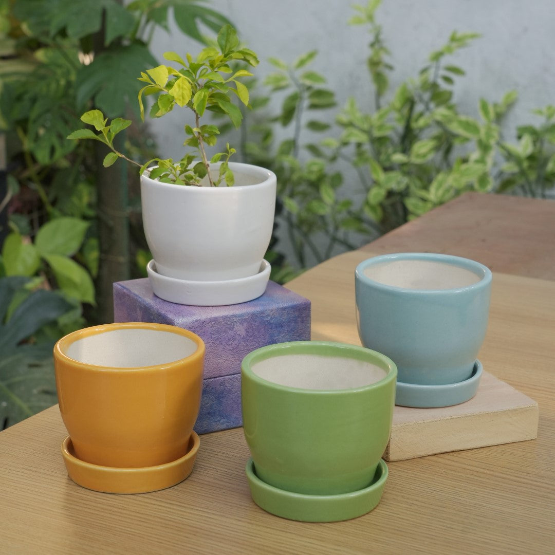 plant pot plates Glossy Ceramic Planter Pot With Bottom Plate | Multicolor