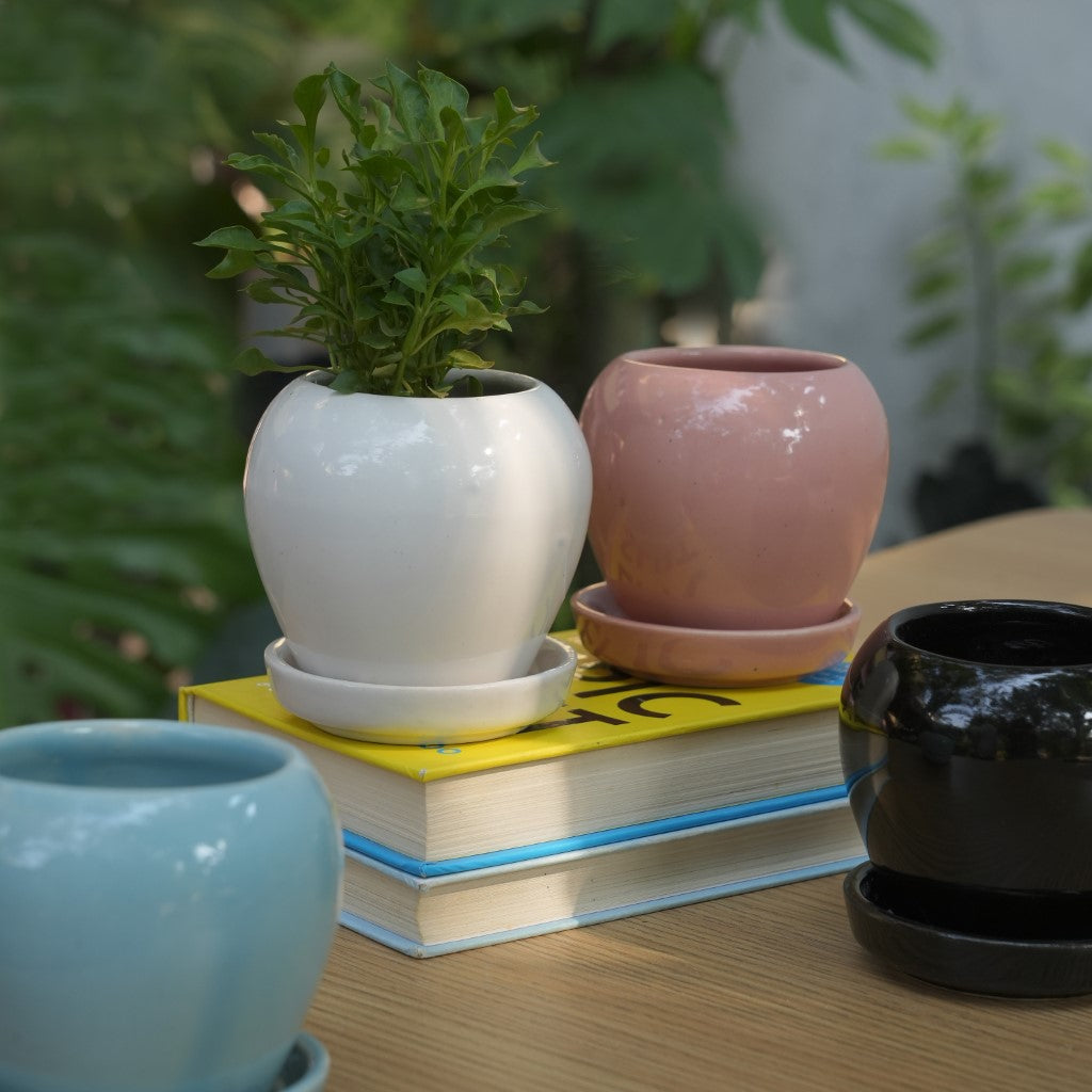 plant pot plates Glossy Glazed Ceramic Planter Pot With Bottom Plate | Multicolour
