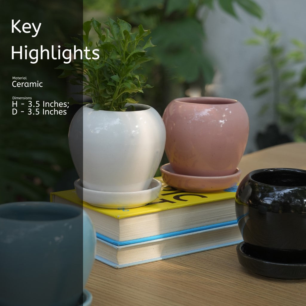 Glossy Glazed Ceramic Planter Pot With Bottom Plate | Multicolour - 1101