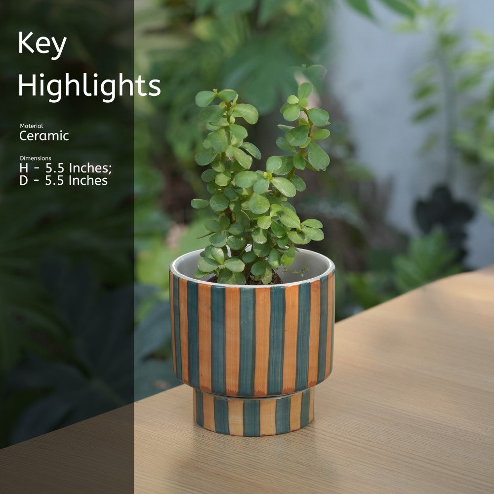 Glossy Ceramic Aesthetic Striped Planter with bottom plate | Stripes - 1108