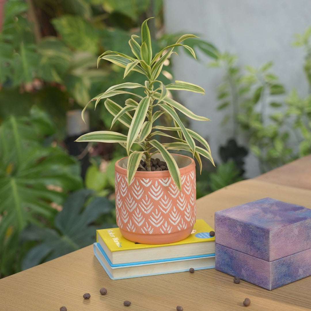 Embossed Green Monstera Leaves Planter Pot