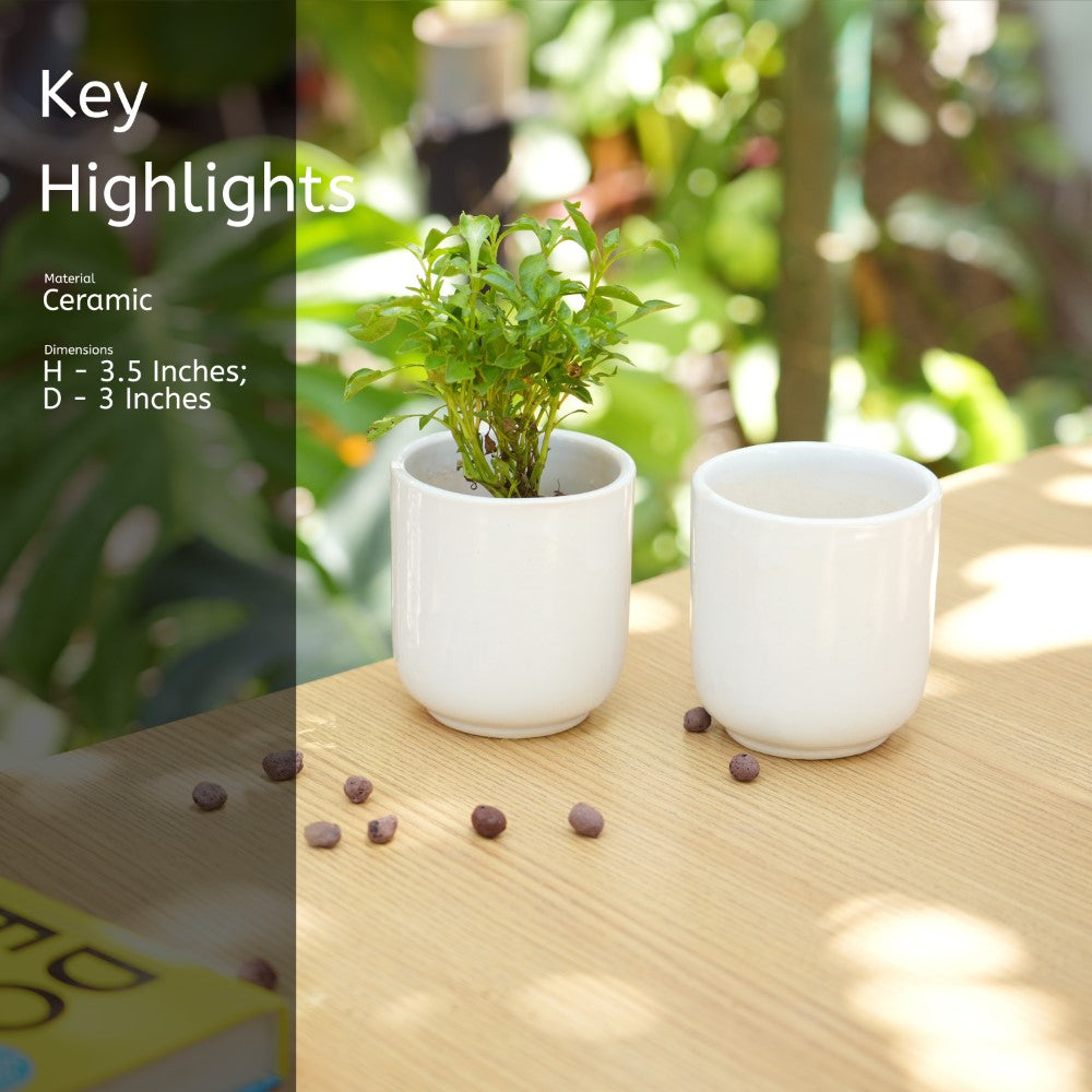 Glossy Ceramic Planter For Office Desk | White - 1107