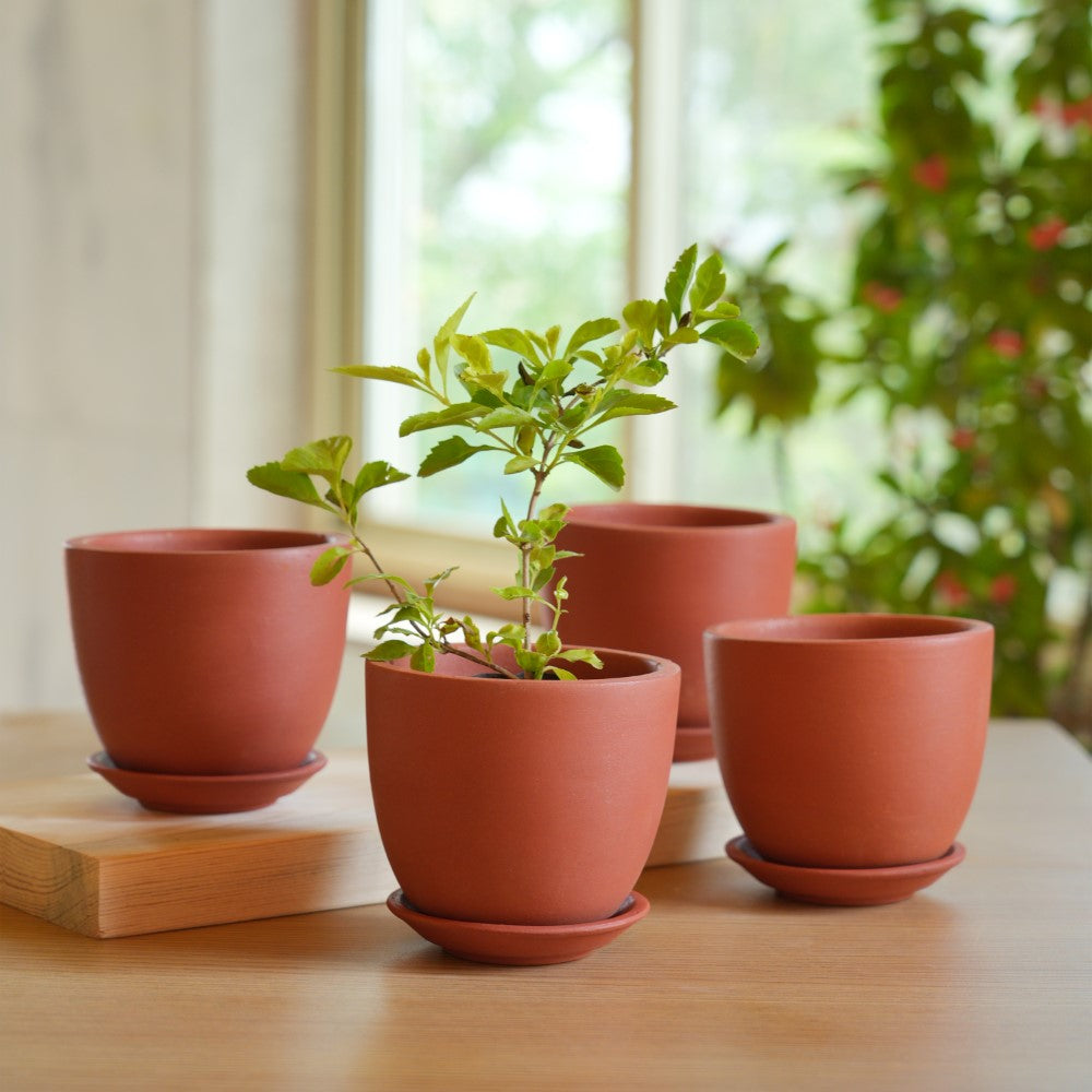 large ceramic terracotta plant pots Terracotta Curvy Pot With Bottom Plate | Handcrafted With Love