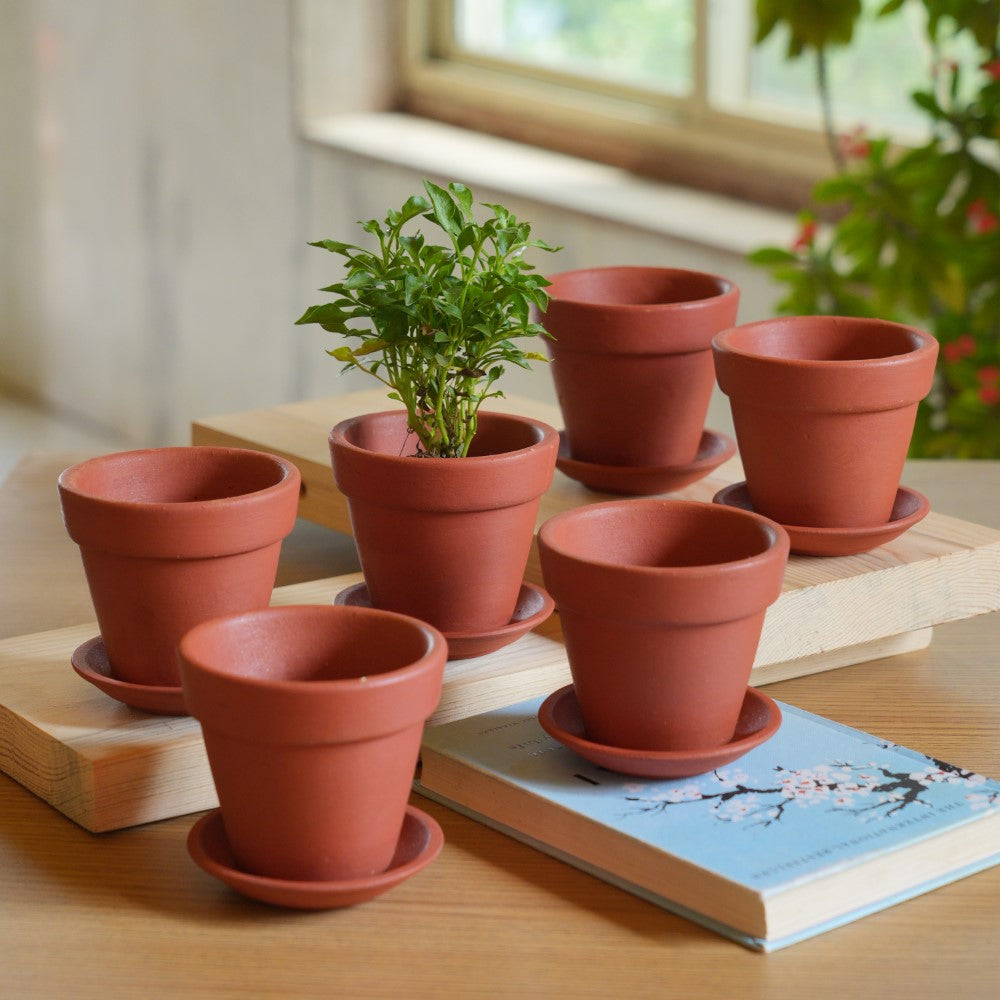 succulents terracotta pots Terracotta Succulent Pot With Bottom Plate | Handcrafted With Love