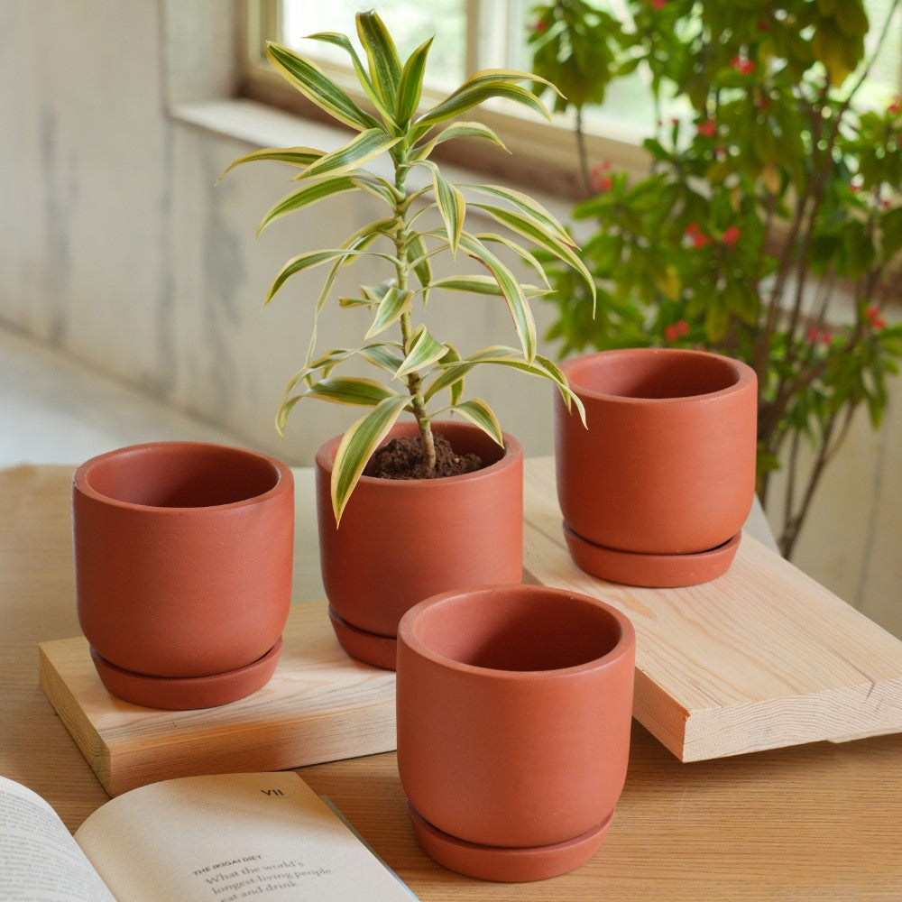 little terracotta plant pots Terracotta Cylindrical Pot With Bottom Plate | Handcrafted With Love