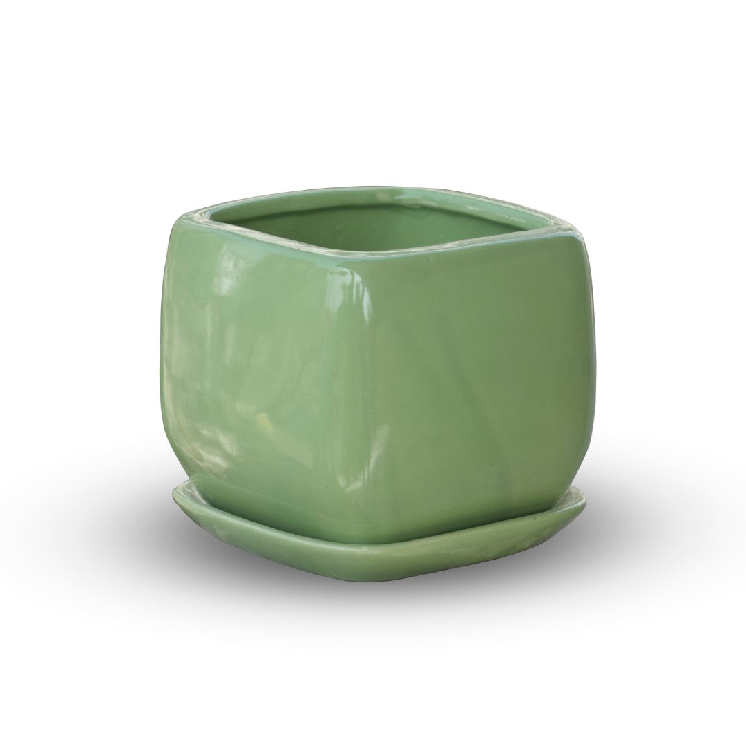 Glossy Ceramic Fatty & Chubby Planter With Bottom Plate | Green - 1102