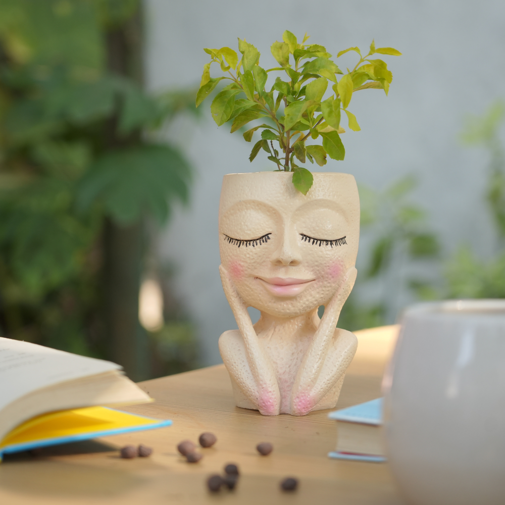 Poly-resin Cute Face Planter | Cute Face - 1110