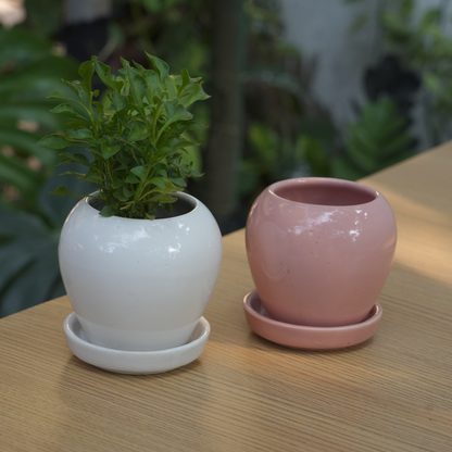 Glossy Glazed Ceramic Planter Pot With Bottom Plate |  Multicolour - 1101