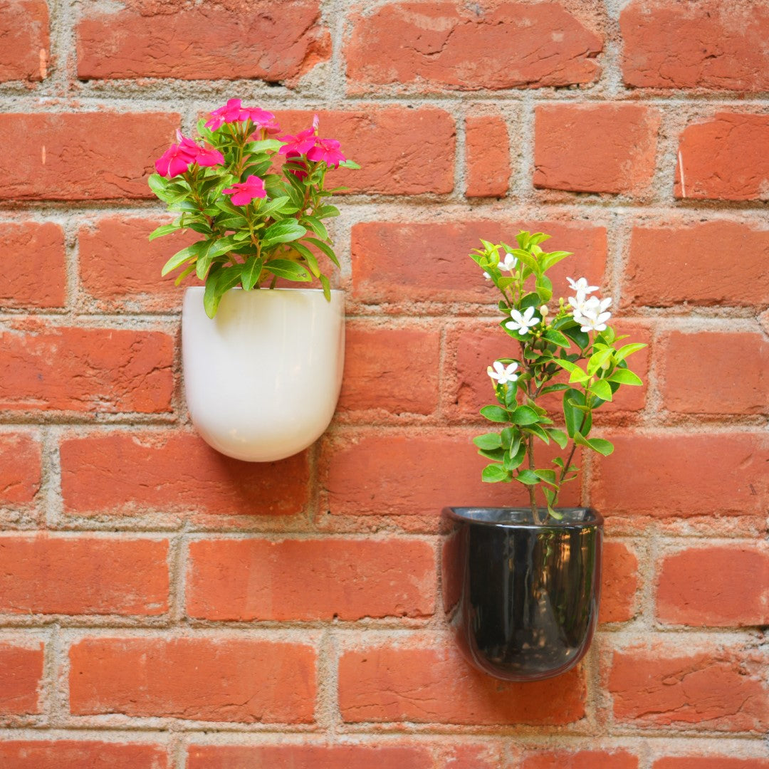 ceramic wall mounted flower pots Wall Mountable Ceramic Planter (Balcony/Room wall Decor)