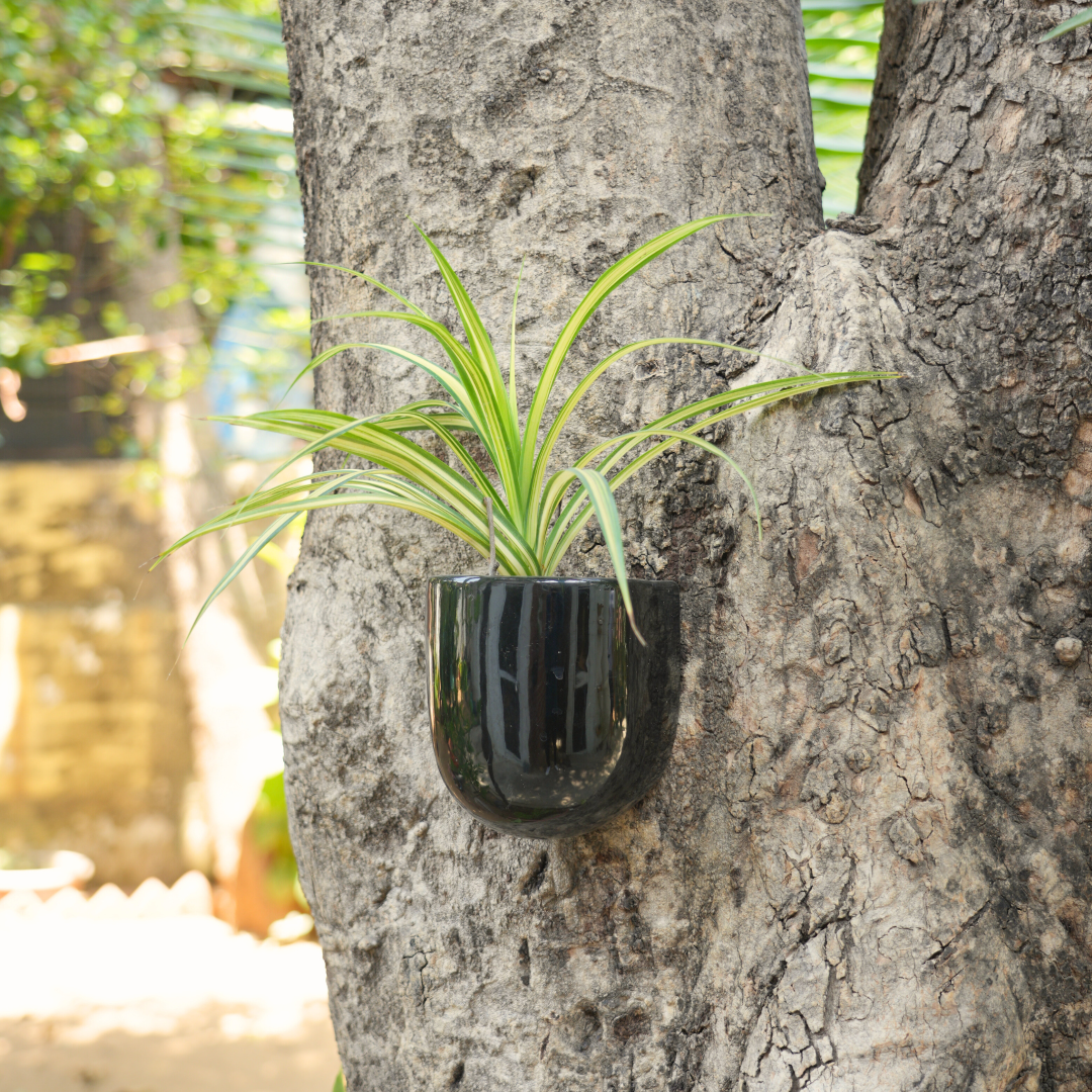 Wall Mountable Ceramic Planter (Balcony/Room wall Decor) | Black and White -1105