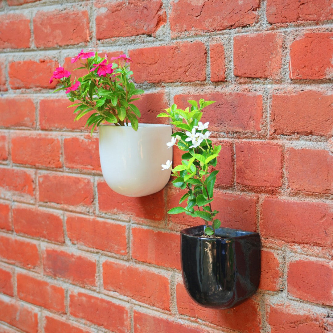 Wall Mountable Ceramic Planter (Balcony/Room wall Decor) | Black and White -1105