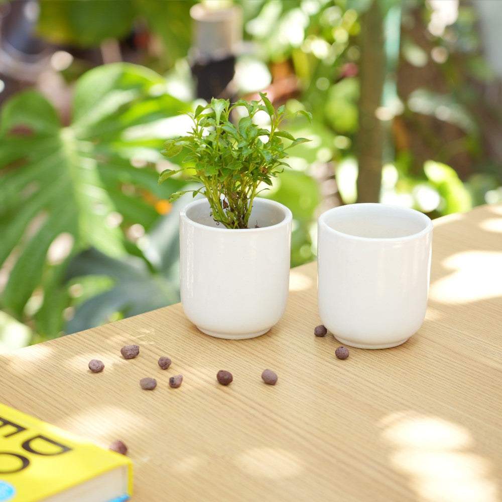 Glossy Ceramic Planter For Office Desk |  White - 1107