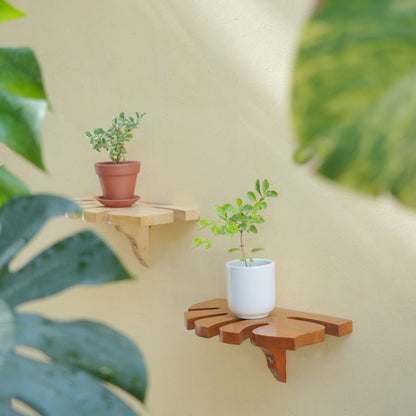 Decorative Wooden Handcrafted Monstera Leaf Shelf | Pack of 2 - 1301