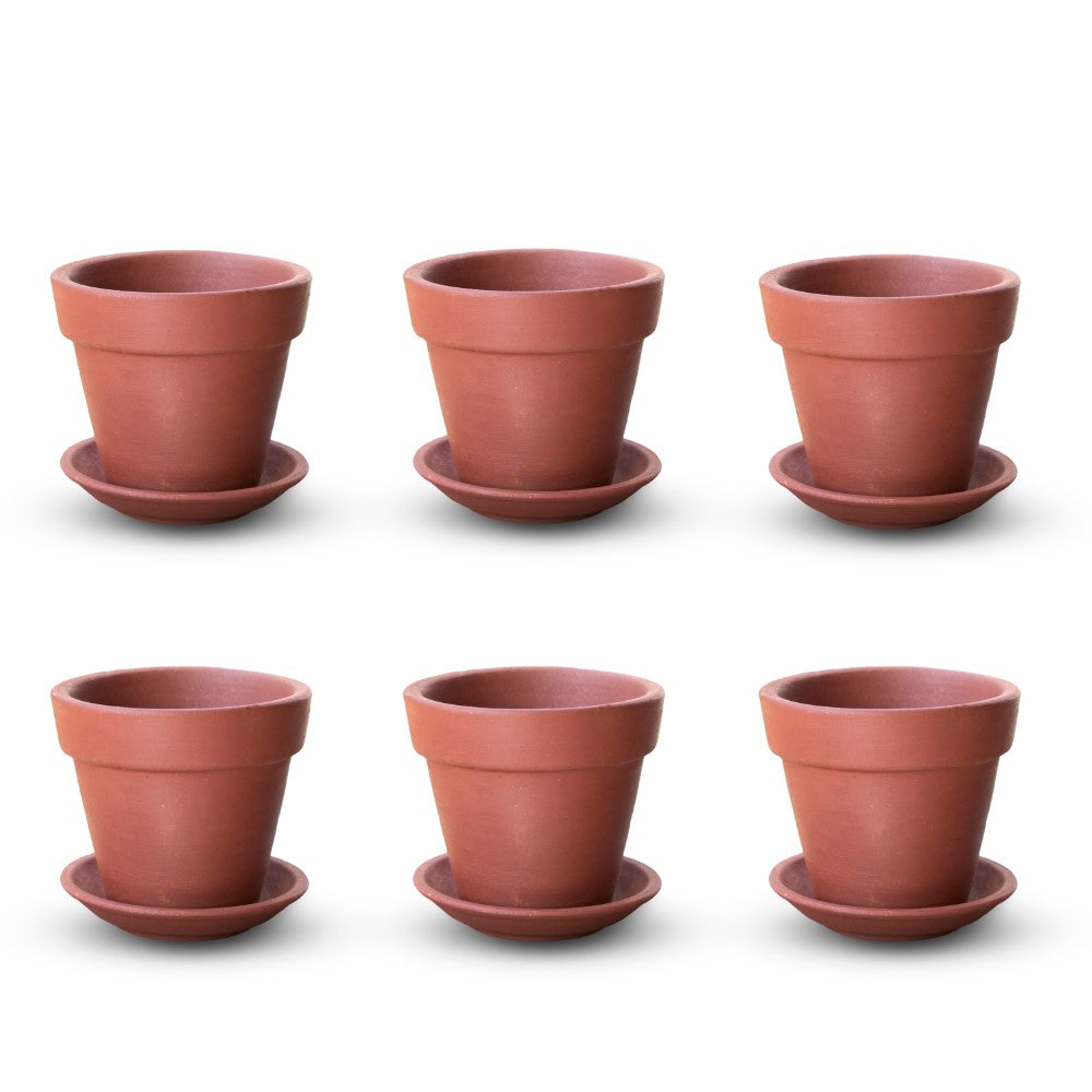 Terracotta Succulent Pot With Bottom Plate | Handcrafted With Love - 1203