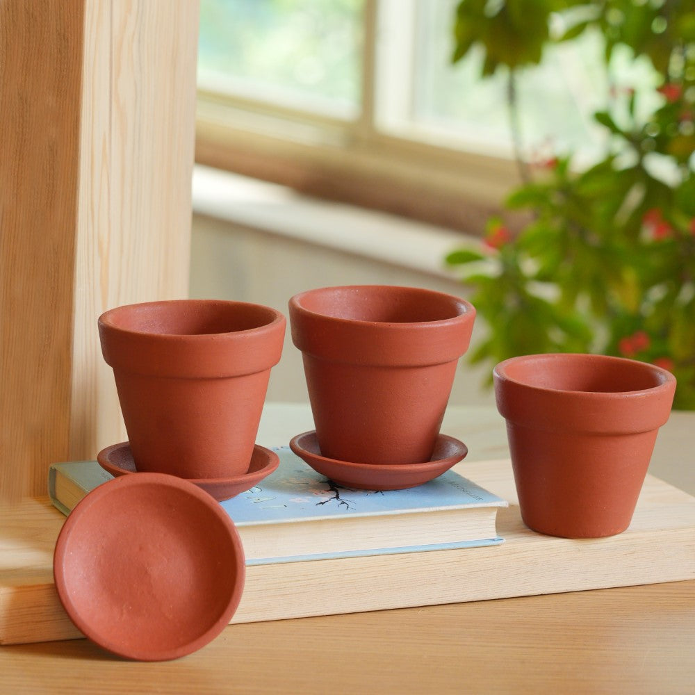 Terracotta Succulent Pot With Bottom Plate | Handcrafted With Love - 1203